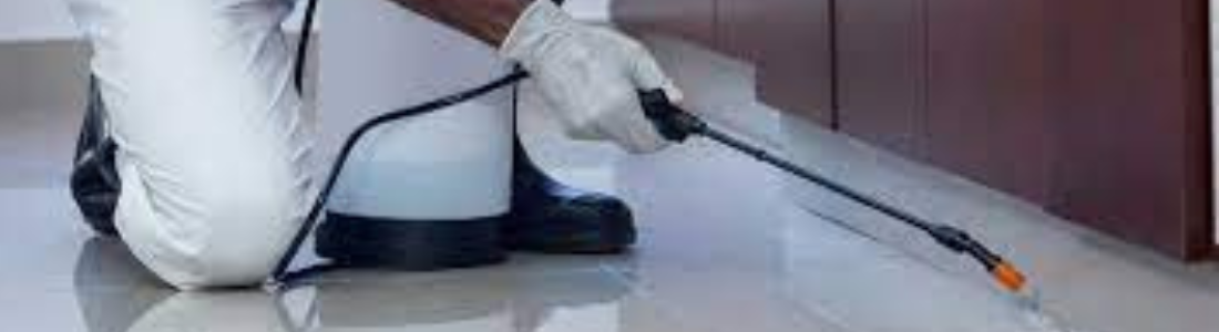 Dedetizadora 24 Horas em Perdizes  24 HORAS